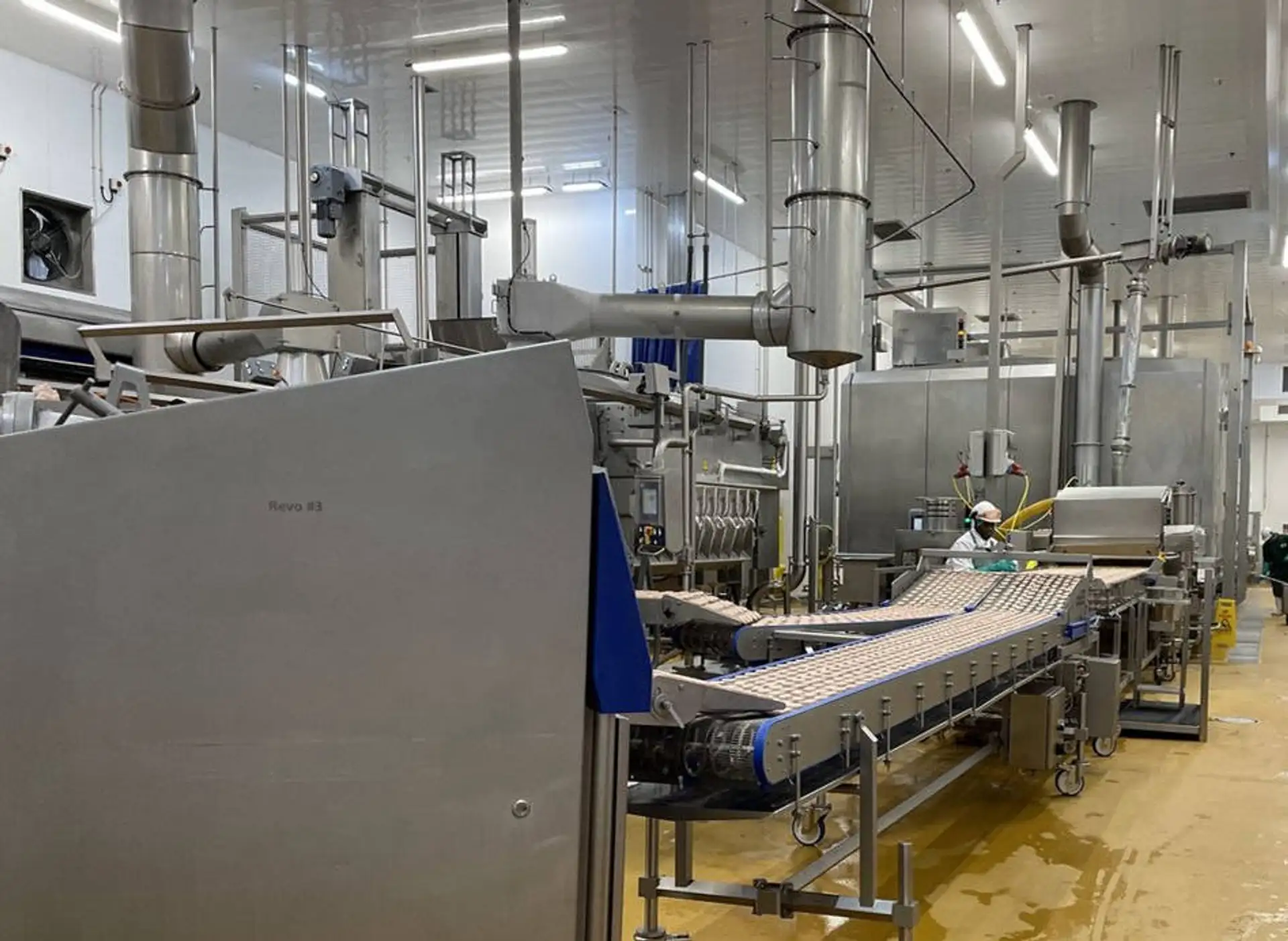 Workers in the factory on the line handling chicken wings