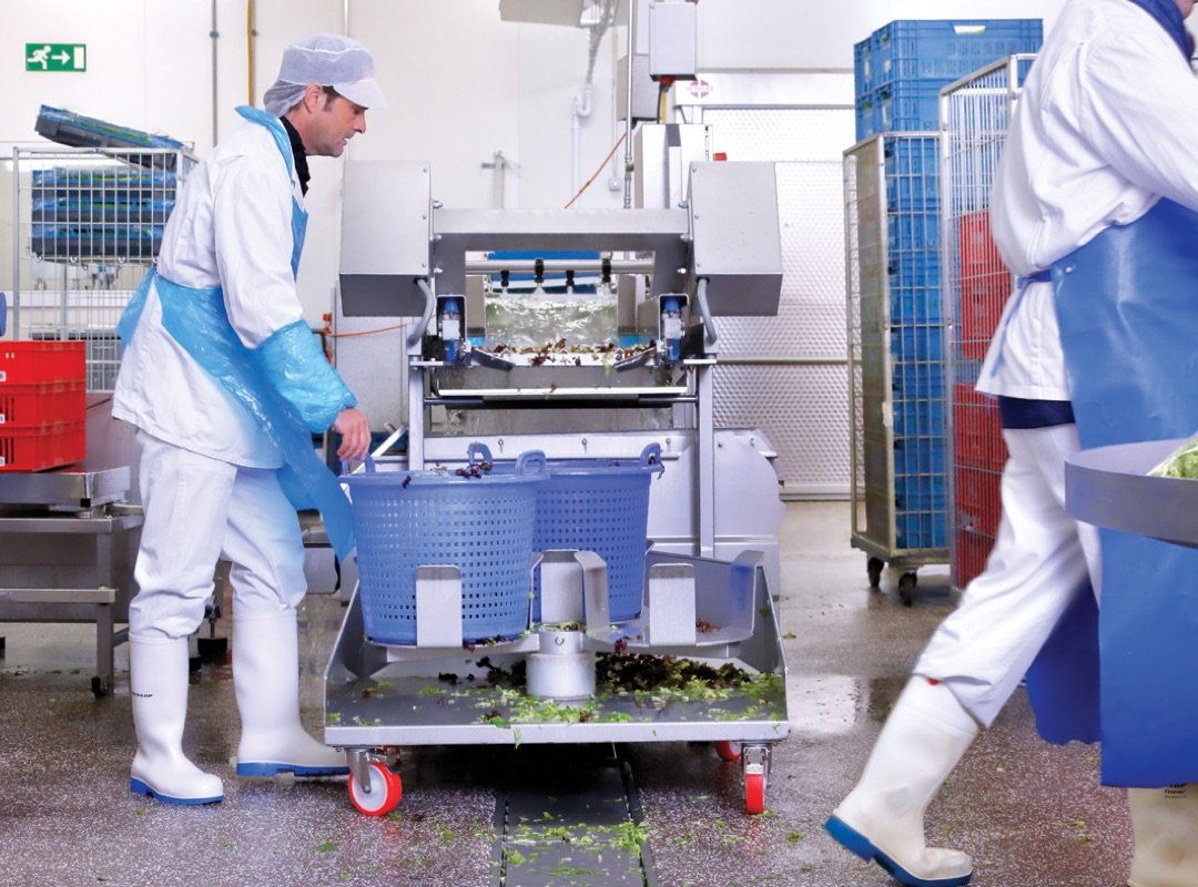Calzado de sales seguridad industria alimentaria